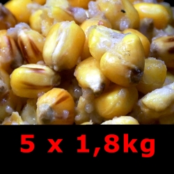 MAIZE 100% - kukurydza 100% - 5x1,8kg