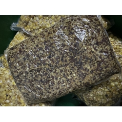 SPOD MIX - mieszanka nasion oleistych - 5x1,8kg