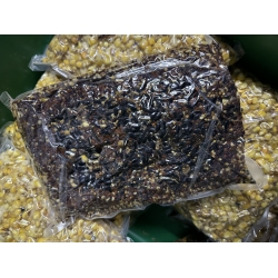 SPOD MIX - mieszanka nasion oleistych - 5x1,8kg