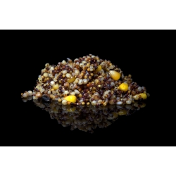 SPOD MIX - mieszanka nasion oleistych - 5x1,8kg