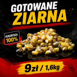 Gotowana kukurydza 1,6kg