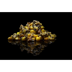 GREAT MIX SEA 5x1,6kg - PRZESYŁKA GRATIS