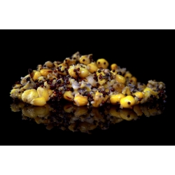GREAT MIX 5x1,6kg - PRZESYŁKA GRATIS