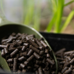 PELLET HEMP - pellet z konopii 100%, 6mm - wiadro 7kg