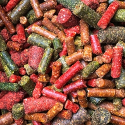 PELLET SPEED MIX - 7kg (wiadro)