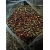 HEMP / RAPE - konopie, rzepik - 4x1,6kg