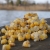 MAIZE 100% - kukurydza 100% - 5x1,8kg